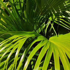 FucK丰满老货HD泻火
